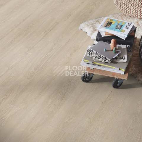 Kronotex Exquisit 8мм d41182 Дуб Горизонт кремовый фото 4 | FLOORDEALER
